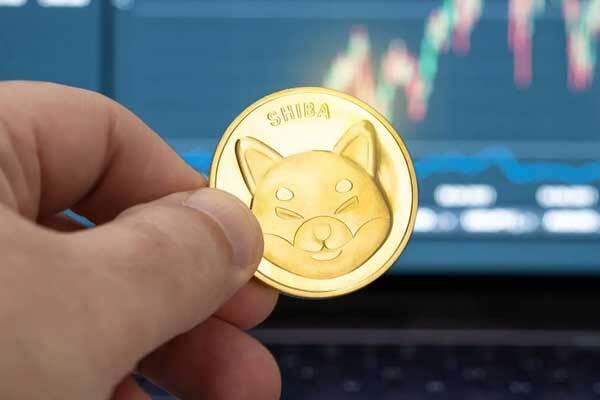 قیمت شیبا در سال 2025، پیش بینی جذاب!