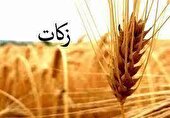 افزایش ۲۳ درصدی پرداخت زکات در چهارمحال و بختیاری
