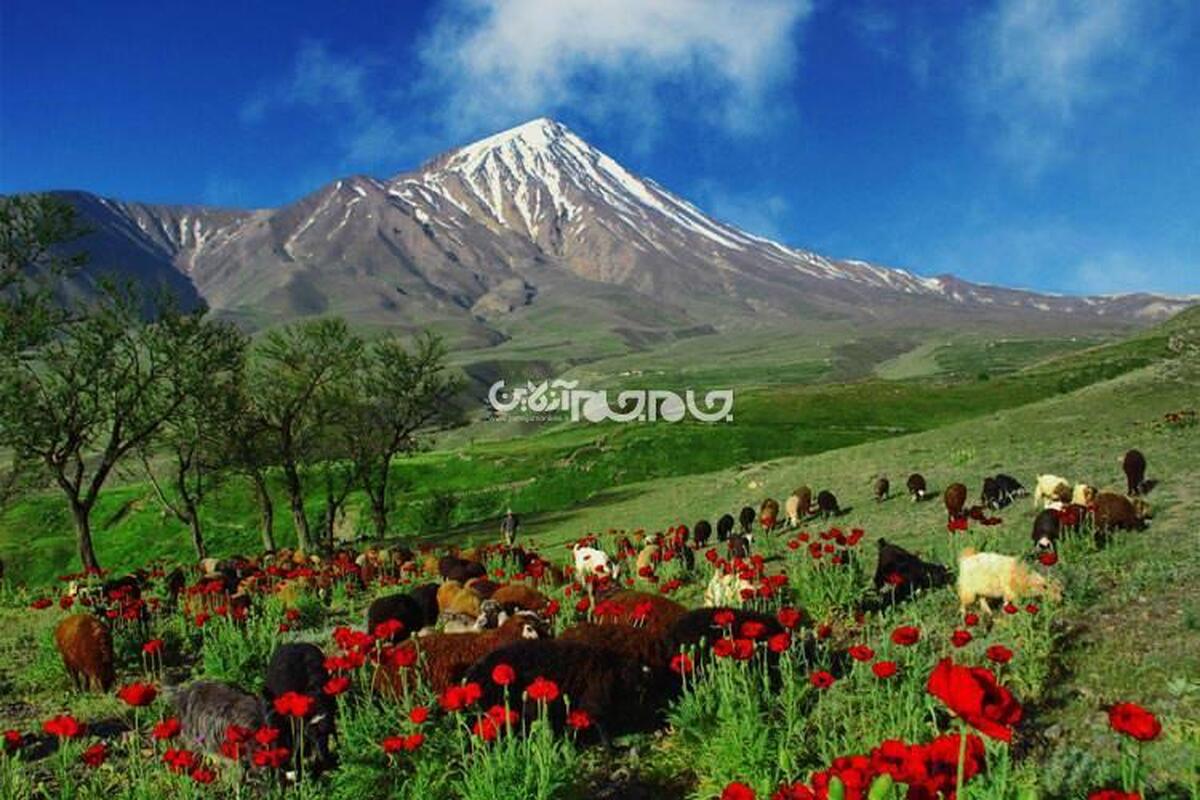 همایون خوشروان پژوهشگر حوزه محیط زیست و دریا گفت: خطر آتشفشان دماوند تنها مواد مذاب نیست، بلکه گازها و خاکسترهای آتشفشانی است که می‌تواند تا شعاع ۲۰۰ کیلومتر منطقه را تحت تاثیر قرار دهد.