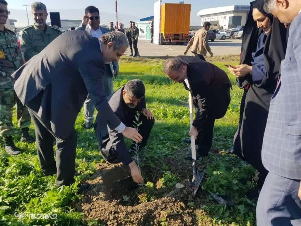  شهردار گرگان گفت: تعداد درخت های غرس شده توسط شهرداری گرگان تا پایان سال به 12 هزار اصله خواهد رسید.