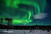 گزارش تصویری | شفق قطبی