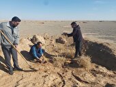 طرح مردمی کاشت یک میلیارد نهال درابرکوه کلیدخورد
