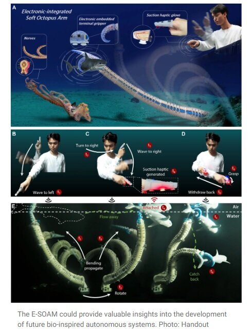 ساخت بازوی نرم هشت پا برای تعامل انسان