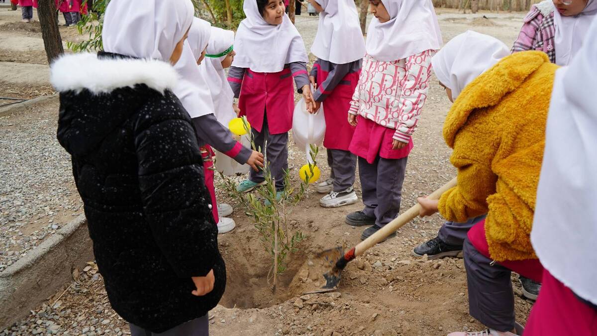 پویش کاشت ۵ هزار اصله نهال در مدارس استان البرز همزمان با سراسر کشور به یاد زنان و کودکان شهید غزه، با غرس نهال های زیتون به عنوان نماد مقاومت مردم فلسطین در دبستان دخترانه عدالت ماهشهر استان البرز برگزار شد.