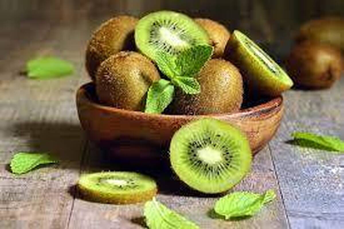 معاون باغبانی وزیر جهاد کشاورزی گفت: شرکت های صادرکننده کیوی را محدود کردیم تا محصول مطابق با استاندارد بازارهای هدف صادر شود.
