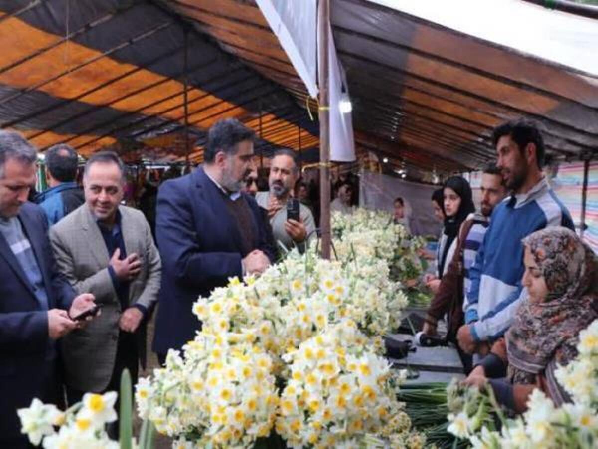 مدیر جهاد کشاورزی شهرستان جویبار از برگزاری هفتمین جشنواره گل نرگس در این شهرستان خبر داد.