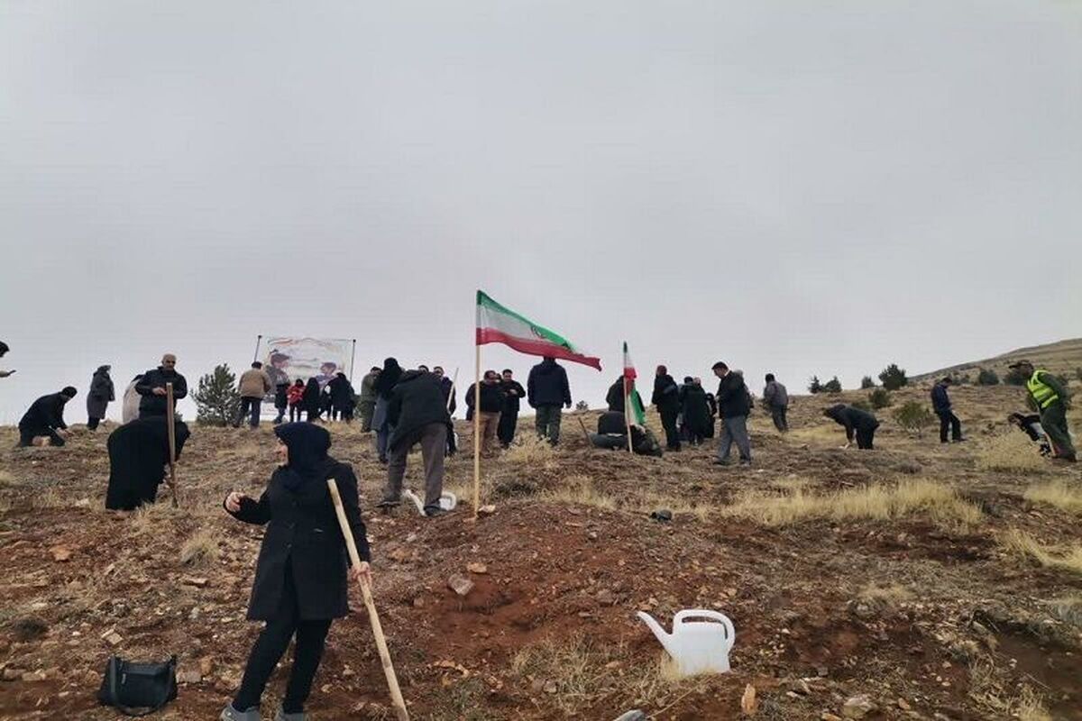 حجت مرادی،مدیرکل منابع طبیعی و آبخیزداری فارس گفت همزمان با سراسر کشور پویش سراسری بذرکاری و درختکاری با عنوان «به نام پدر» مصادف با میلاد مبارک حضرت امیرالمومنین (ع) ۱۷ هزار اصله نهال و بذر در عرصه‌های منابع طبیعی استان کاشته شد.