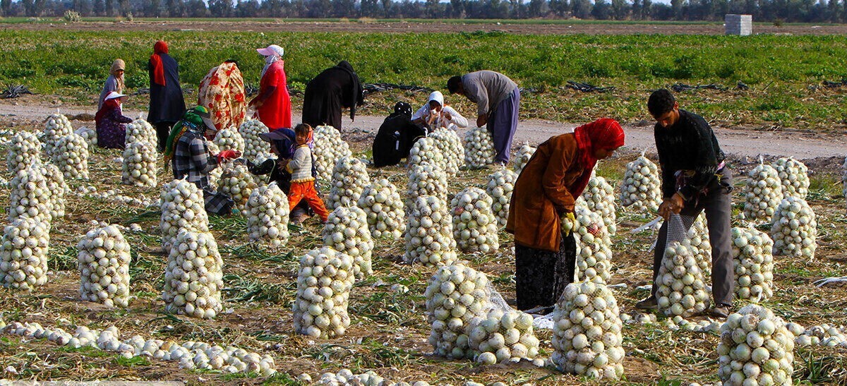 شاهپور آذروند،مدیرکل امور روستایی و شورا‌های استانداری اردبیل گفت،امسال اجرای ۲۴۴ طرح اقتصادی و سرمایه‌گذاری با ۲ همت اعتبار در روستا‌های این استان آغاز شده که بی‌شک نقش بسزایی در توسعه، عمران و اشتغال روستا‌ها خواهد داشت.