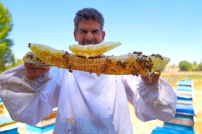 جاذبههای طبیعی و تاریخی استان اردبیل پذیرای مسافران نوروزی جاذبههای طبیعی و تاریخی استان اردبیل پذیرای مسافران نوروزی