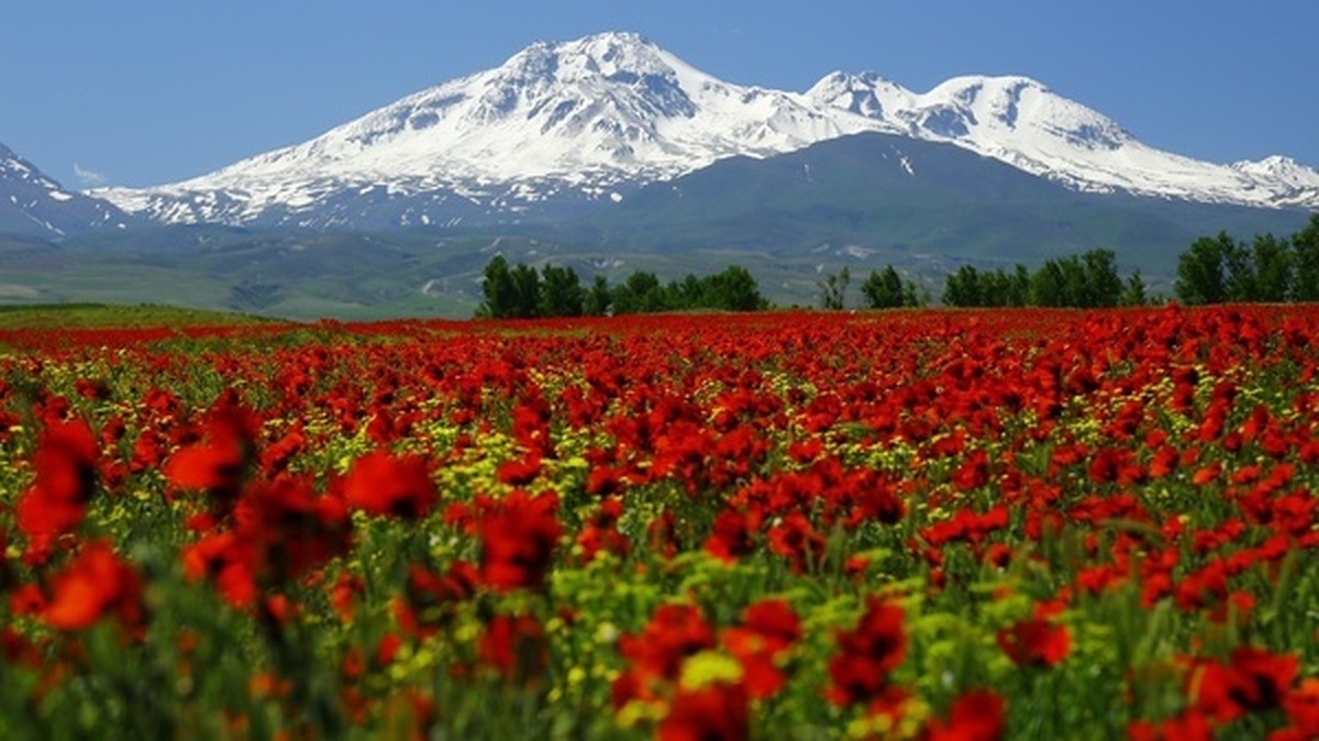 مشگین‌شهر، شهرستانی زیبا در شمال غرب ایران و در استان اردبیل، گوهری پنهان در دل طبیعت بکر کوه‌ها و دشت‌های سرسبز است؛ این شهر با آرامش خاص خود، فرهنگ غنی مردم و طبیعت سرشار از زیبایی، مقصدی ایده‌آل برای عاشقان گردشگری طبیعت‌محور و کاوش‌های فرهنگی است.