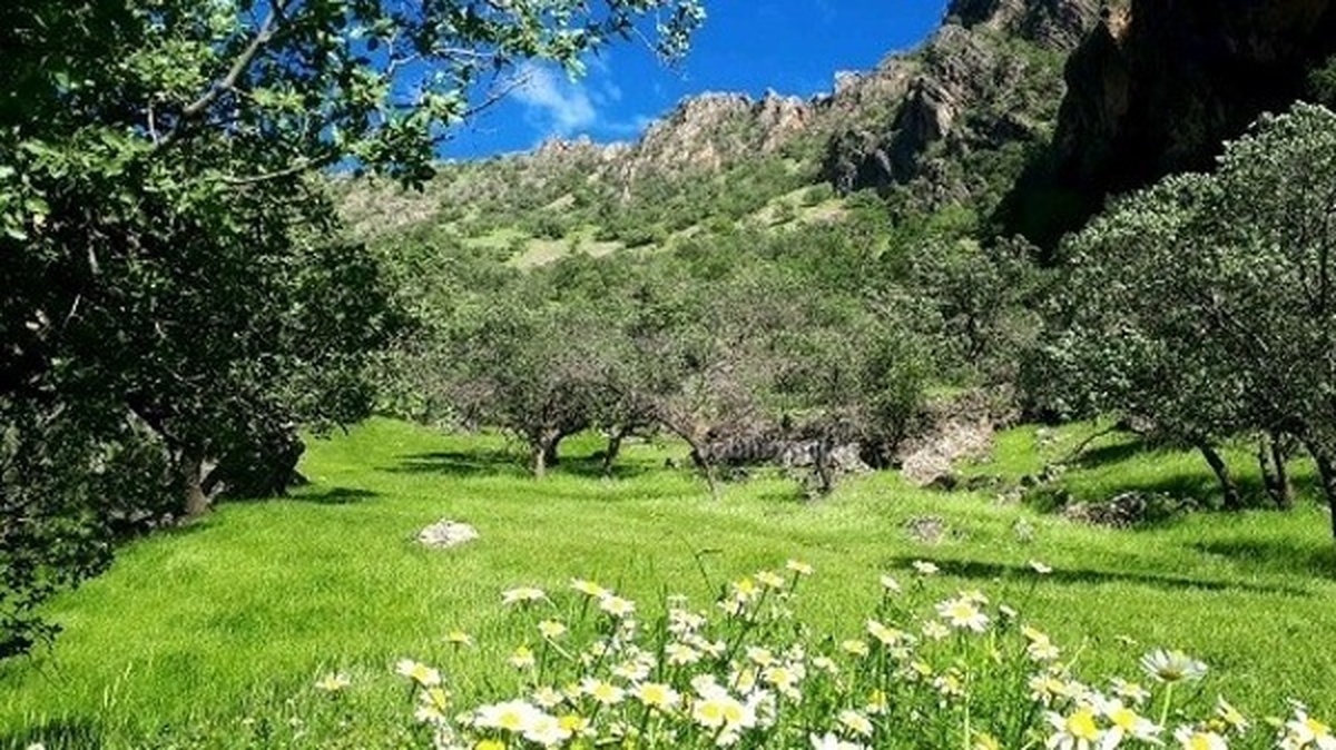 گچساران شهری در دل آب و آتش با قدمتی چند هزار ساله با دکل‌های سر به فلک کشیده نفت و گاز، طبیعتی روح نواز با مکان‌های دیدنی بسیار تاکنون توانسته مسافران و گردشگران بسیاری را به خود جذب کند.