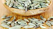 ببینید | خواص گیاه رازیانه