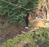 بندبازی مرگبار برای تحصیل