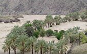 تداوم انسداد ۱۰۱ راه روستایی درجنوب سیستان وبلوچستان براثربارندگی‌ اخیر