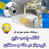 کشف چسب مايع غيرمجاز در مانه و سملقان