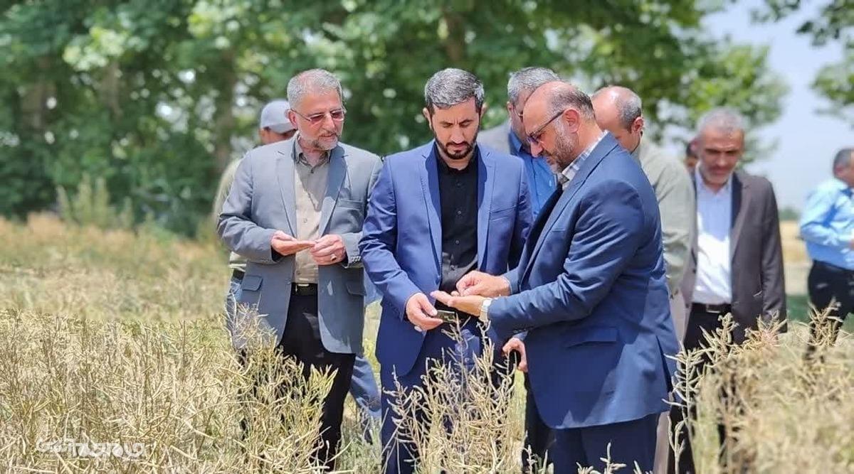 به مناسبت هفته جهاد کشاورزی و با حضور فرماندار اسلامشهر، مدیر جهاد کشاورزی شهرستان، معاون برنامه ریزی و توسعه فرماندار، بخشدار و شهردار احمدآباد مستوفی، شهردار منطقه ۵ اسلامشهر و رییس اداره دامپزشکی، از سه پروژه بخش کشاورزی شهرستان اسلامشهر بهره‌برداری شد.