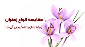 مقایسه انواع زعفران و راه های تشخیص آن‌ها