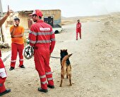 ناپدید‌شدن مرموز «آی‌نور» دو ساله در روستا