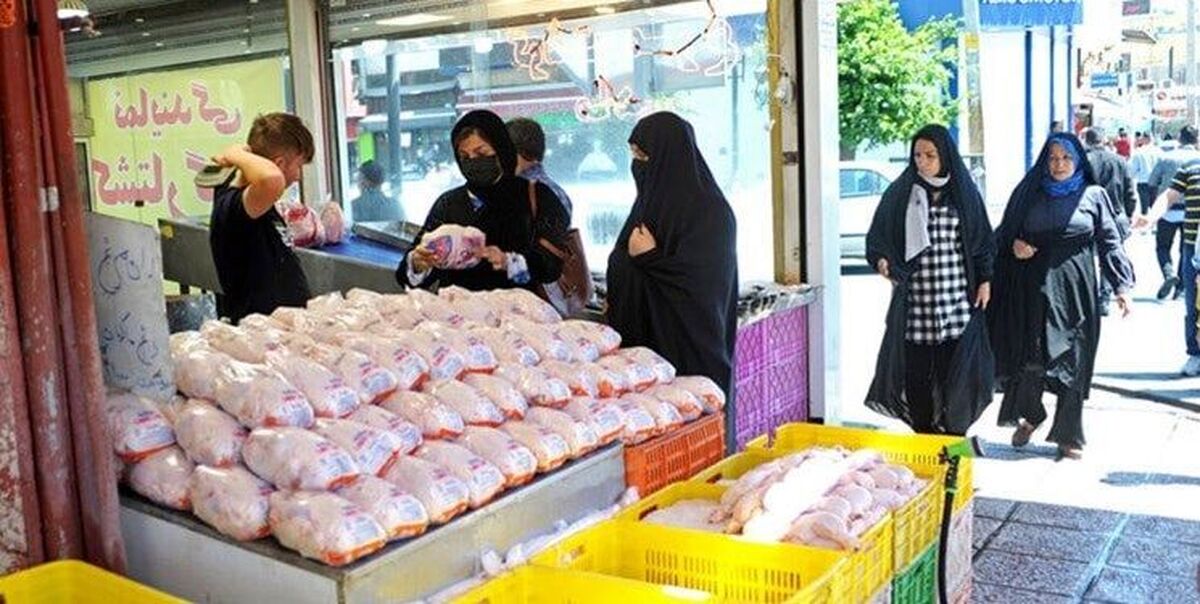 رییس سازمان جهاد کشاورزی قزوین بر لزوم تشدید نظارت‌ بازرسان در حوزه عرضه مرغ گرم در راستای رعایت حقوق مصرف کنندگان خبر داد.