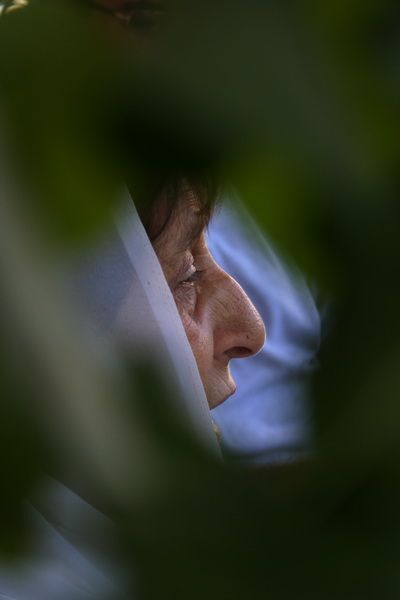 مهر بانی مادران پایان ندارد .... مهر بانی مادران پایان ندارد ....