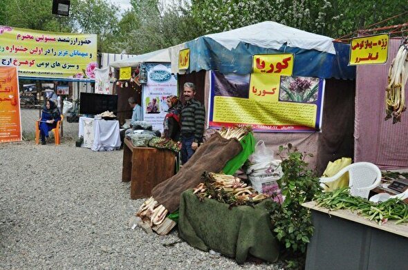 برگزاری رویداد‌های فرهنگی تضمین کننده افزایش درآمد گردشگری است