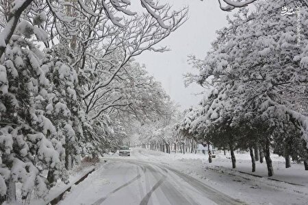 ببینید  ا  تصاویری از بارش برف پاییزی در اردبیل