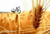 پرداخت بیش از ۲۳ میلیارد تومان زکات در خراسان شمالی طی امسال