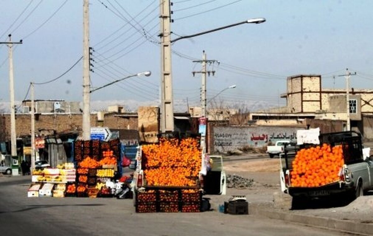 معاون خدمات شهری شهرداری زنجان گفت: وانت بارهای میوه فروش بر اساس شناسنامه صادره از سوی سازمان مشاغل شهرداری مجوز فعالیت در شهر را دریافت خواهند کرد و ساماندهی خواهند شد.