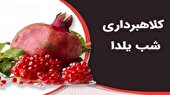 مراقب کلاهبرداری‌ های اینترنتی با وعده هدیه یک میلیونی شب یلدا باشید