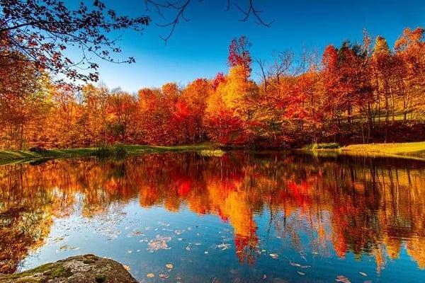 پاییز بهترین زمان برای سفر به شمال! (جدول پیشنهادی جاهای دیدنی)