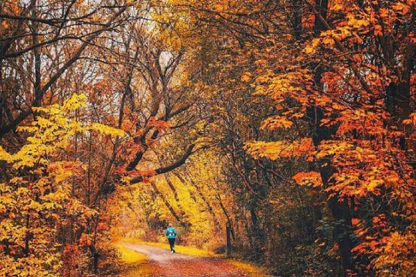 پاییز بهترین زمان برای سفر به شمال! (جدول پیشنهادی جاهای دیدنی)