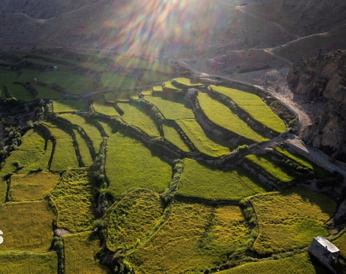 نادر خداداد،مدیر کل ثبت اسناد و املاک استان اردبیل از صدور سند تک برگ برای ۶۰ درصد از اراضی کشاورزی این استان خبر داد.