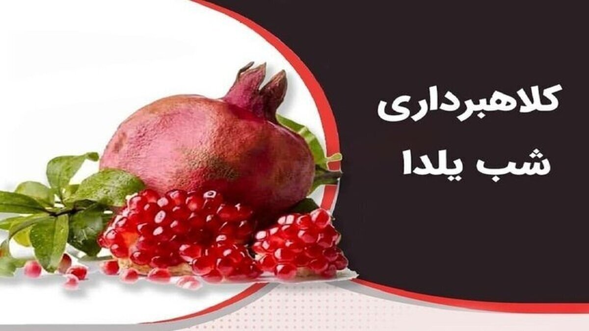 رییس پلیس فتا البرز از کاربران خواست در موقع خرید‌های اینترنتی در آستانه شب یلدا به نکات امنیتی در این فضا توجه بیشتری کنند.