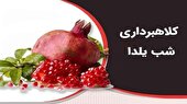 هشدار پلیس فتا البرز در خصوص کلاهبرداران شب یلدا