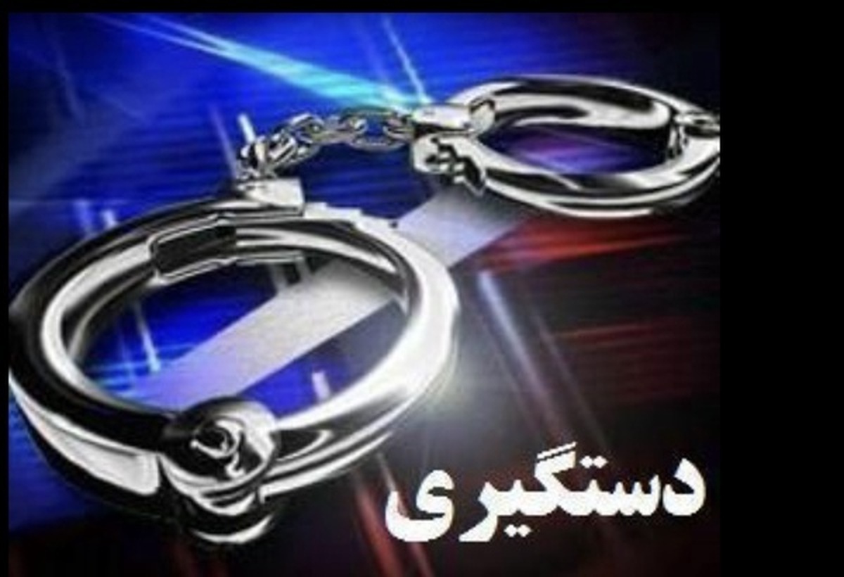 دستگیری سارق محتویات خودرو