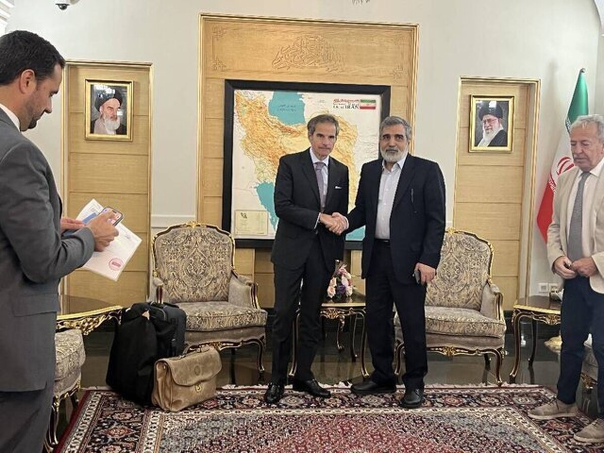 مدیرکل آژانس بین‌المللی انرژی اتمی مورد استقبال سخنگوی سازمان انرژی اتمی ایران قرار گرفت.