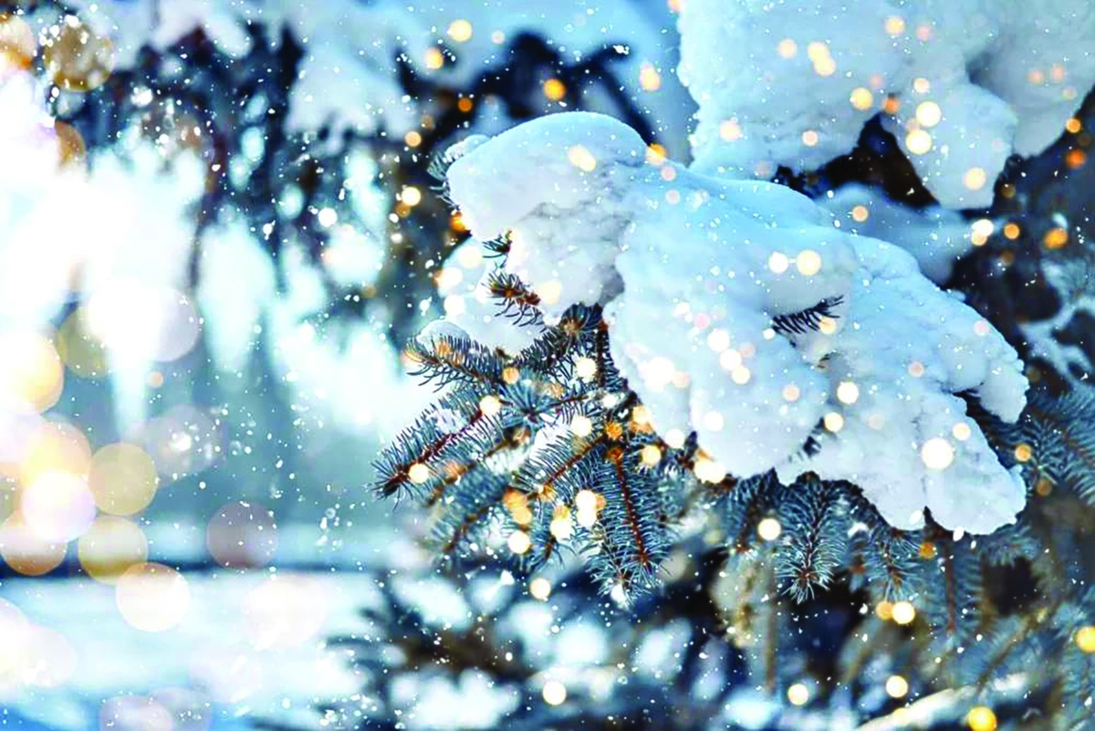 زمستان، فقط یک فصل در تقویم نیست؛ به‌خصوص برای شاعران، زمستان همیشه چیزی بیشتر از سرما و برف بوده. فصلی بوده برای مکث، برای نگاه عمیق‌تر و برای دیدن جهان از پشت شیشه‌ای بخارگرفته. کافی است نام زمستان بیاید تا ناخودآگاه، شعر هم کنارش بنشیند.