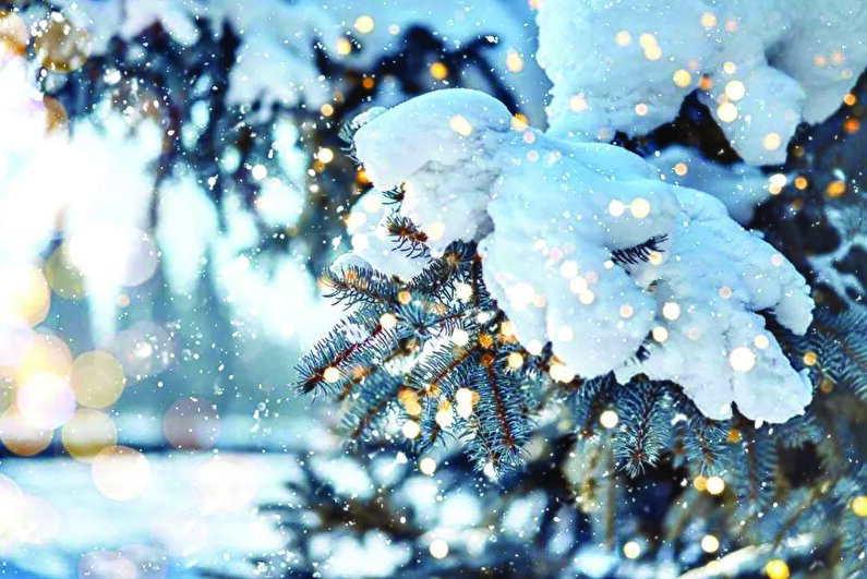 فصل سپید شعر و سکوت