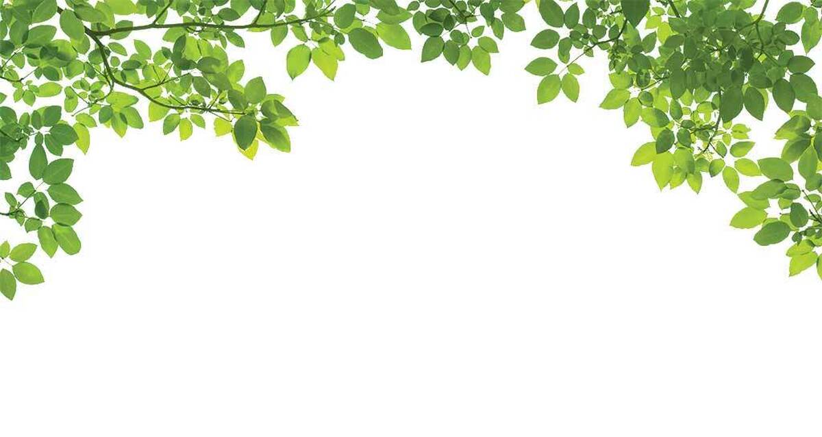 با سرد شدن هوا، همان‌طور که خودمان سبک زندگی‌مان را تغییر می‌دهیم، گیاهان آپارتمانی هم وارد فصل تازه‌ای از زندگی می‌شوند.