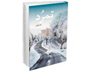 نقد حسین انتظامی بر کتاب یک نویسنده جوان