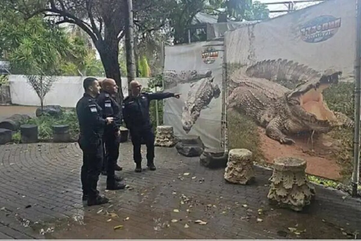 اداره زندان‌ های رژیم صهیونیستی بنا به پیشنهاد وزیر امنیت داخلی این رژیم در حال بررسی ایجاد زندانی محاصره شده با تمساح است.