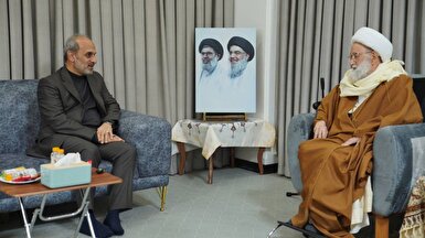 دیدار رئیس رسانه ملی با رهبر شیعیان بحرین