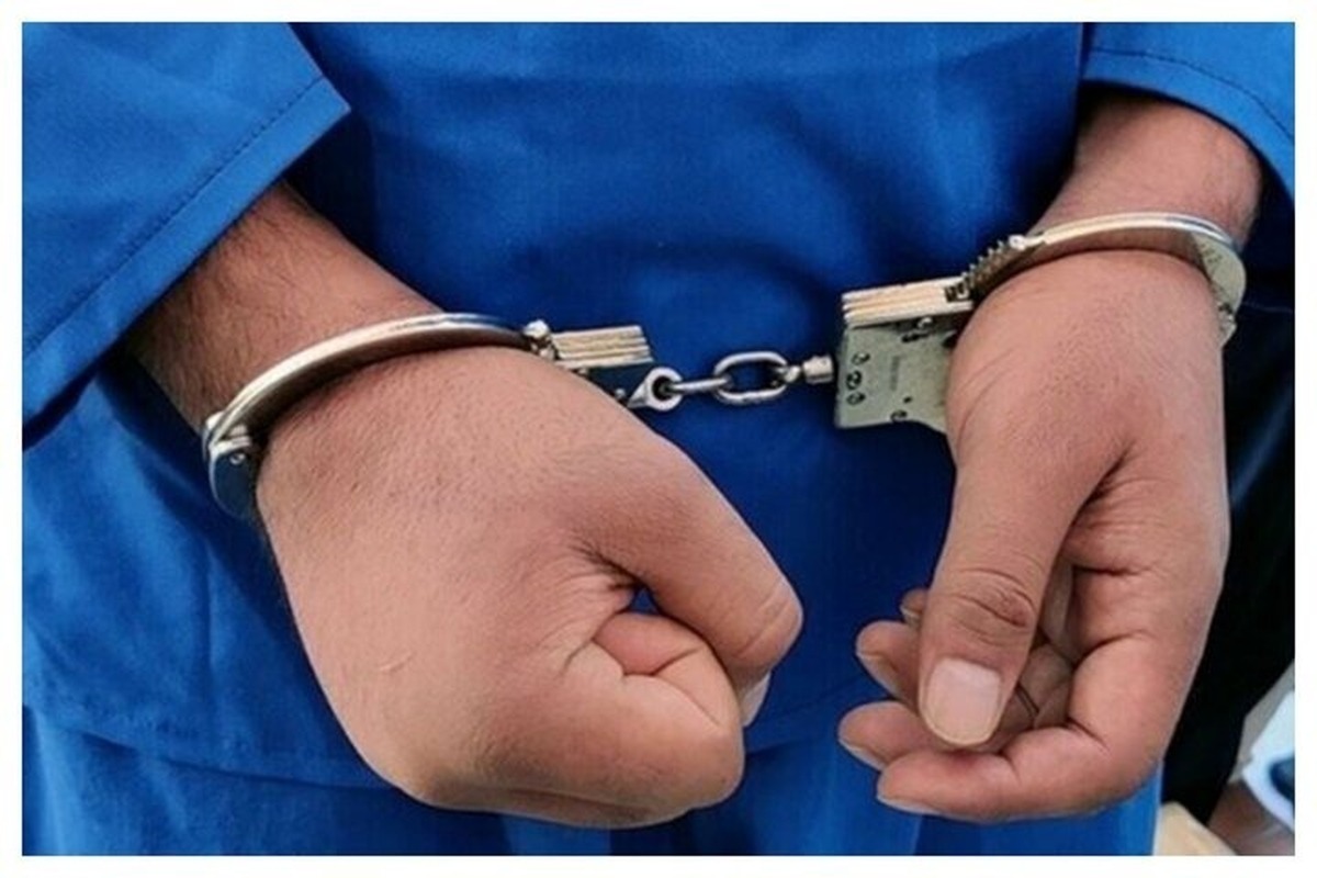 سرکلانتر دهم پلیس پیشگیری پایتخت از دستگیری زن سارق موبایل که در مدارس از اولیای دانش آموزان اقدام به سرقت می‌کرد، خبر داد.