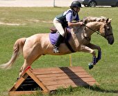 تکمیل پیست سوارکاری کرمانشاه ۱۰۰ میلیارد تومان اعتبار می‌خواهد