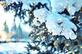 فصل سپید شعر و سکوت