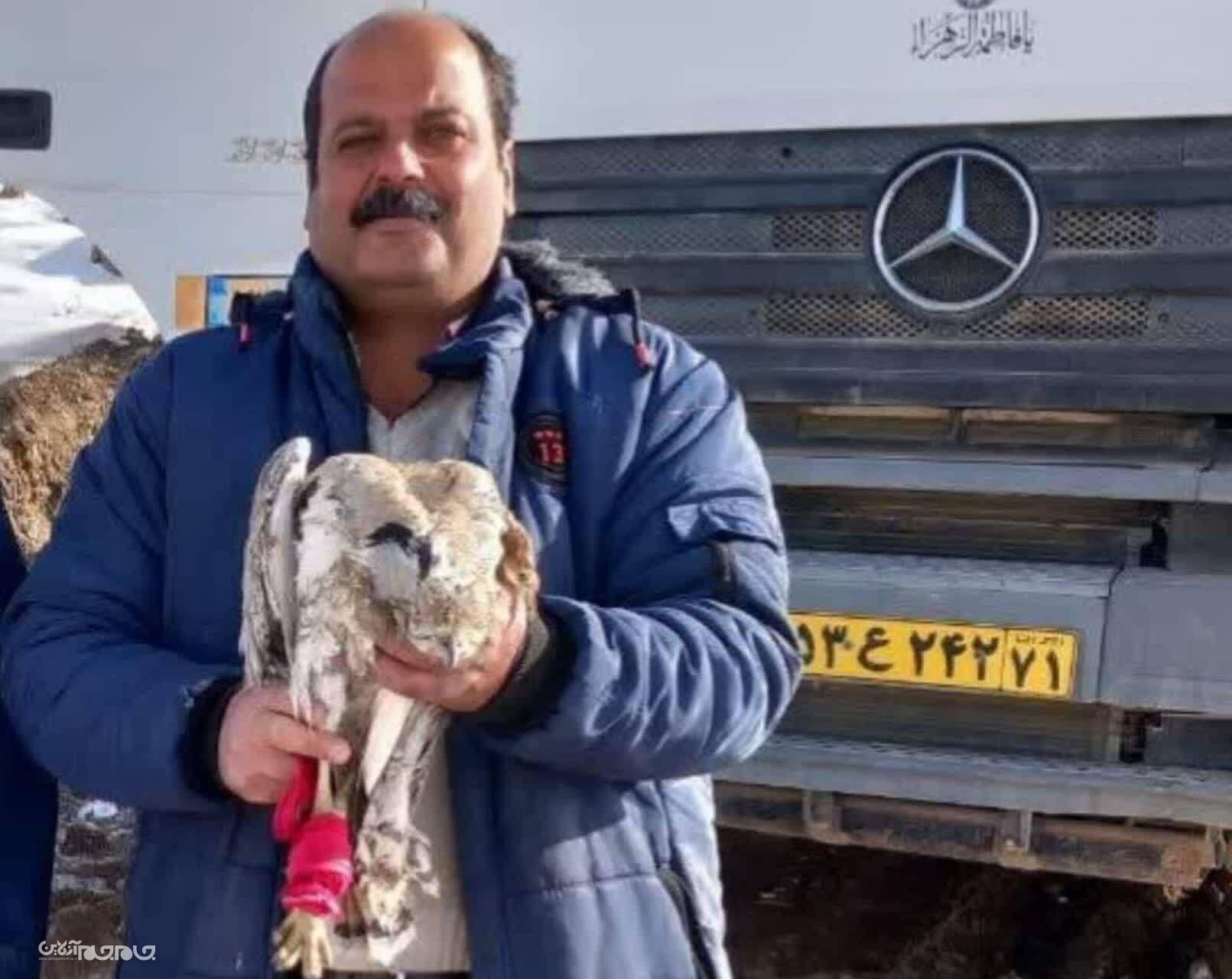 نجات هوبره توسط شهروند بروجنی