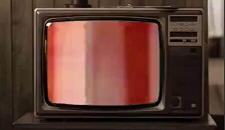 ببینید | خرابکار اجاره ای