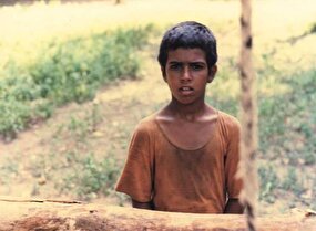 پخش «باشو غریبه کوچک» از شبکه نمایش به یاد کوچ بیضایی