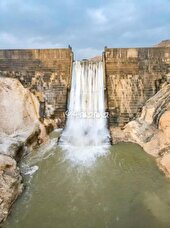 کشاورزان سرمست از سخاوت آسمان