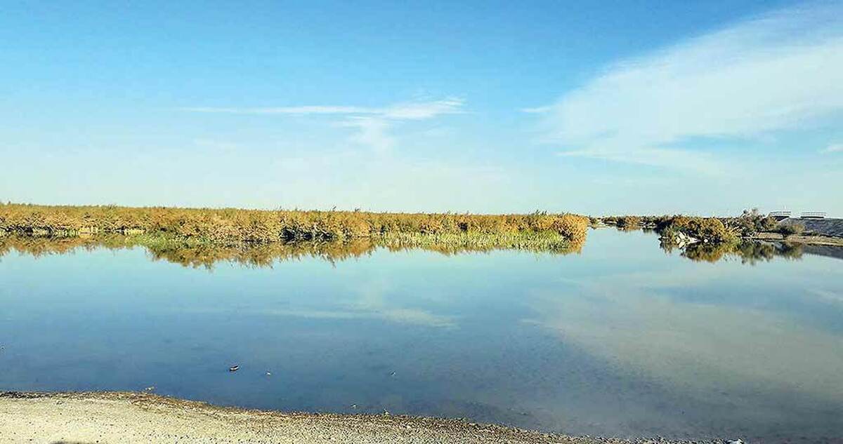 گزارش‌های رسمی سازمان هواشناسی سال ۱۴۰۴را یکی از کم‌بارش‌ترین سال‌های نیم‌قرن اخیر در ایران توصیف می‌کنند و از کاهش بیش از ۴۰درصدی بارندگی نسبت به میانگین بلندمدت خبر می‌دهند، این در حالی است که سیستان و بلوچستان همچنان عنوان کم‌بارش‌ترین استان کشور را یدک می‌کشد؛ استانی که حیات اجتماعی، اقتصادی و زیست‌محیطی آن به بارش‌های فصلی و آب تالاب‌ها و دریاچه‌ها گره خورده.